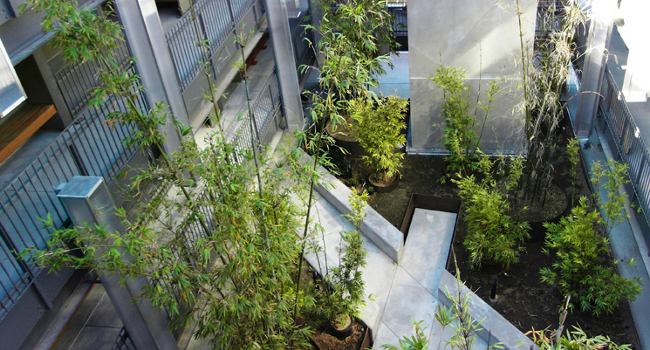 sb bamboo crtyrdlight towers day 72_m.jpg